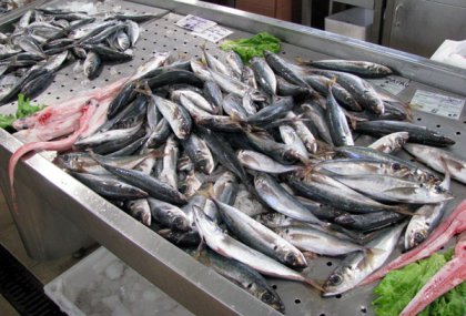 fish at the market