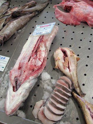 unusual fish