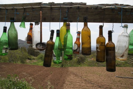 bird scarer bottles