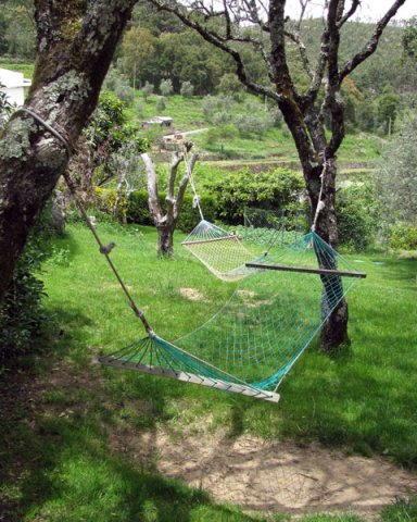 hammocks in the garden