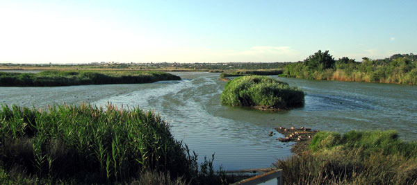 Salgados lagoon