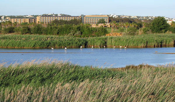 Salgados lagoon 2