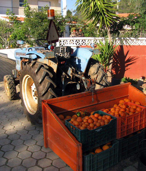 Oranges Algarve Blog #003