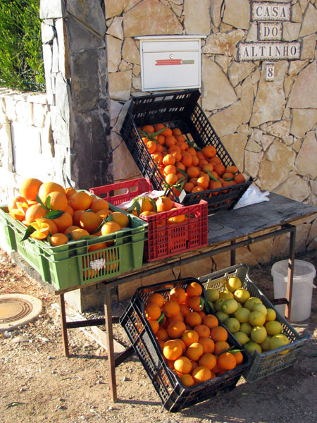 Oranges Algarve Blog #004