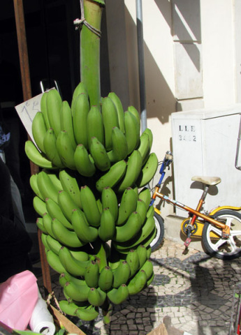 Loulé market #0027