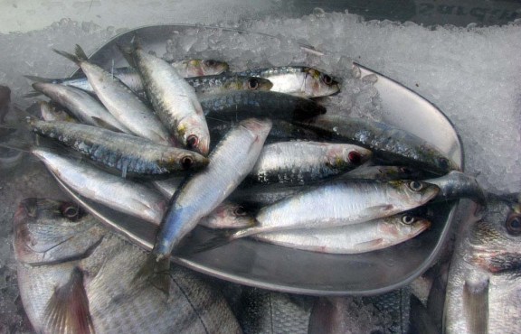 Portimao Sardine Fair 2013
