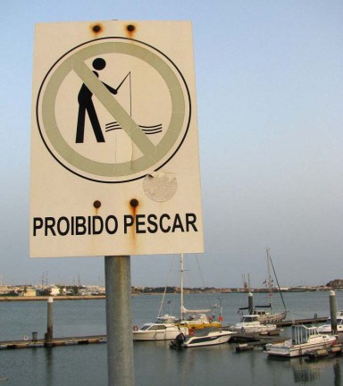 Portimao Sardine Fair 2013
