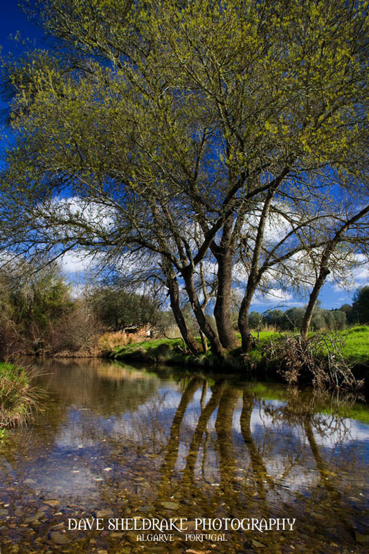 Alyson Sheldrake Algarve Blog Alentejo countryside