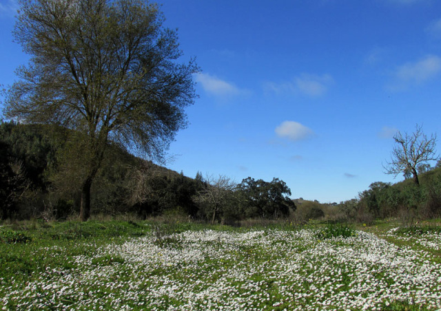 Alyson Sheldrake Algarve Blog Alentejo countryside