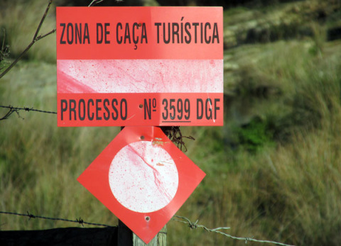Alyson Sheldrake Algarve Blog Alentejo countryside