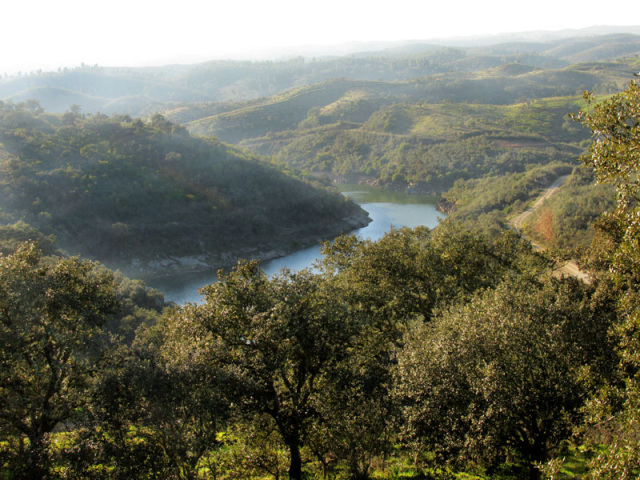 Alyson Sheldrake Algarve Blog Alentejo countryside