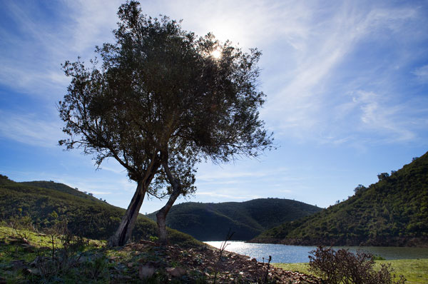 Alyson Sheldrake Algarve Blog Alentejo countryside