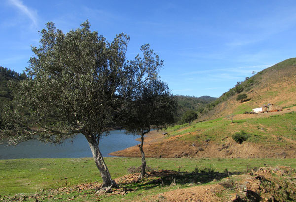 Alyson Sheldrake Algarve Blog Alentejo countryside