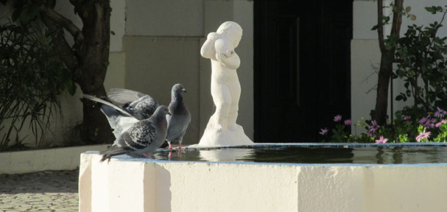 Faro Old Town Algarve Blog Dave Sheldrake Alyson Sheldrake