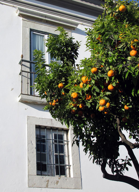 Faro Old Town Algarve Blog Dave Sheldrake Alyson Sheldrake