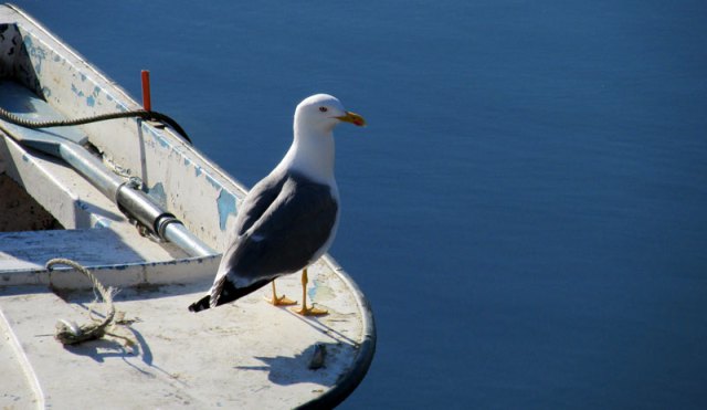 Faro Old Town Algarve Blog Dave Sheldrake Alyson Sheldrake