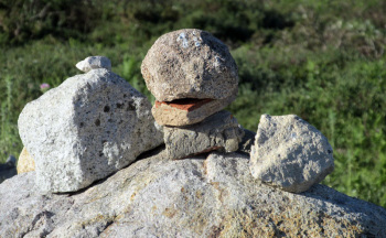Algarve Blog Foia