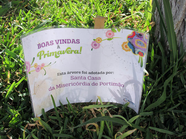 Yarn Bombing in Portimão, Algarve Blog