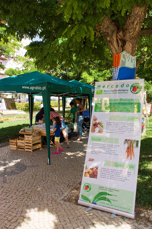 Organic produce market Portimão Algarve Blog