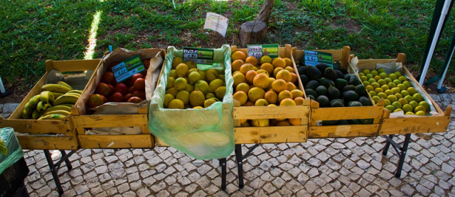 Organic produce market Portimão Algarve Blog