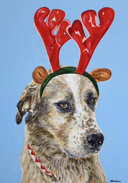 SOS Algarve Animals Charity Christmas Cards