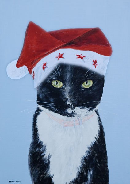 SOS Algarve Animals Charity Christmas Cards