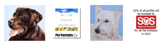 SOS Algarve Animals Charity Sponsorship