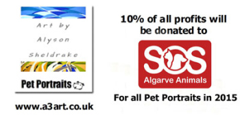 SOS Algarve Animals Charity Sponsorship