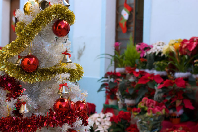 Portimao Christmas recycled 2014
