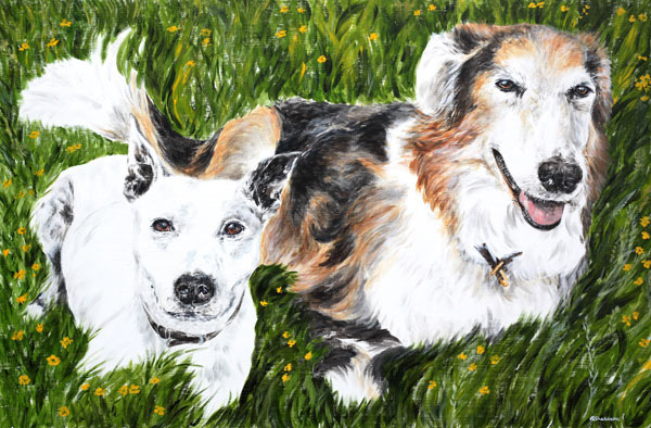 Pet Portrait Painting Alyson Sheldrake