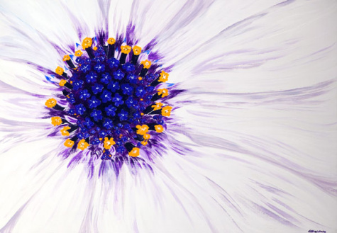 'Spotlight' original painting by Alyson Sheldrake