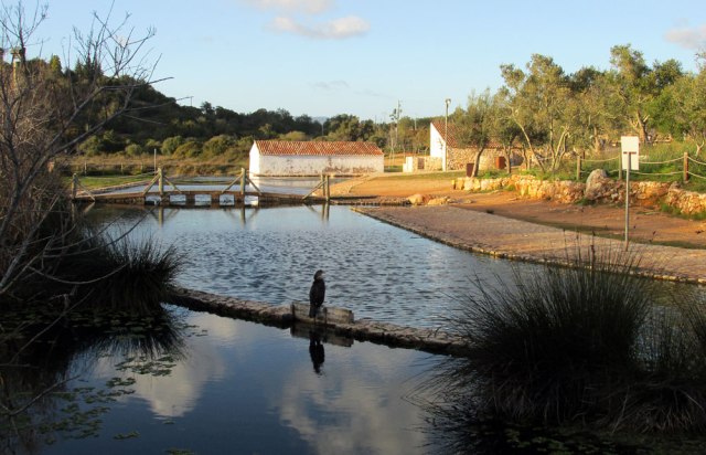 sítio das fontes Estombar Algarve Blog