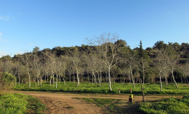 sítio das fontes Estombar Algarve Blog