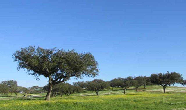 Buying Property Algarve Blog