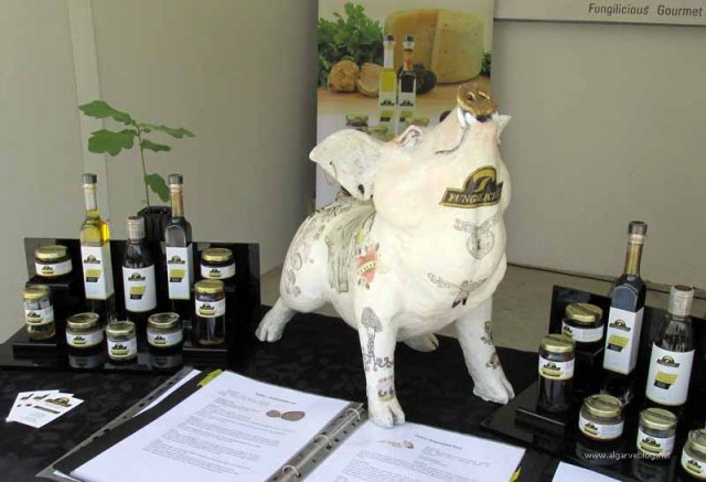 10th International Algarve Fair 2015