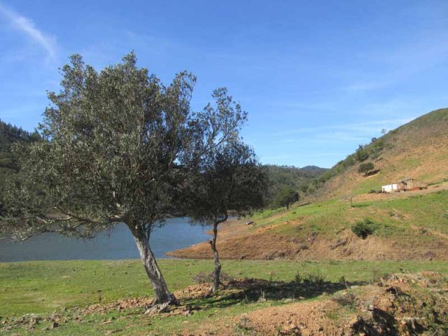 Buying Property Algarve Blog