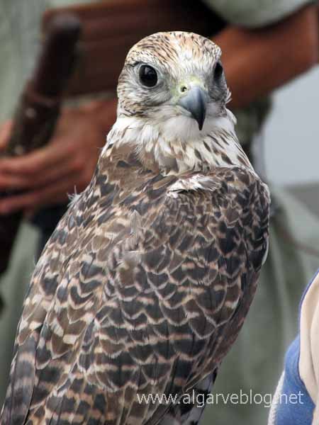 Silves Medieval Fair 2015 Algarve Blog