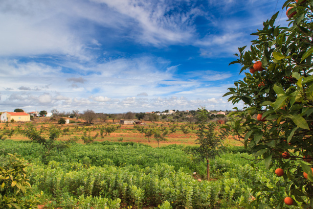 Adega do Cantor - Winery of the Singer Algarve Blog