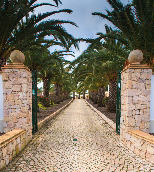 Adega do Cantor - Winery of the Singer Algarve Blog