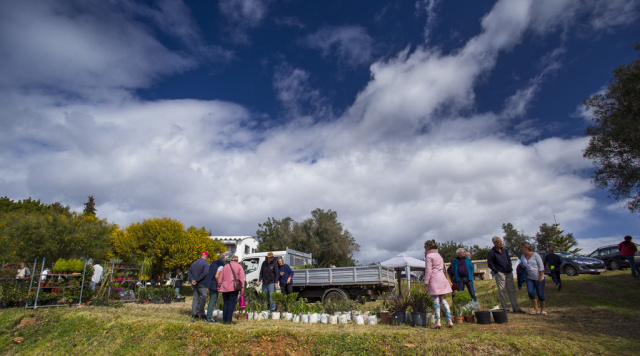 Silves Garden Fair