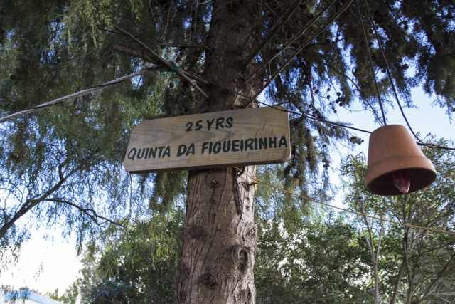 Silves Garden Fair