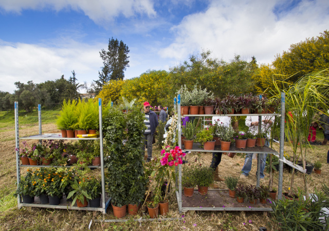 Silves Garden Fair