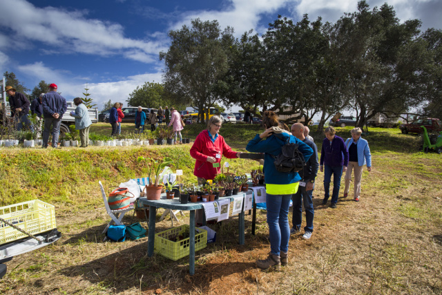 Silves Garden Fair