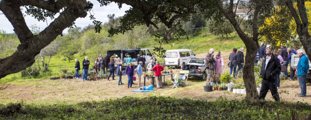 Silves Garden Fair
