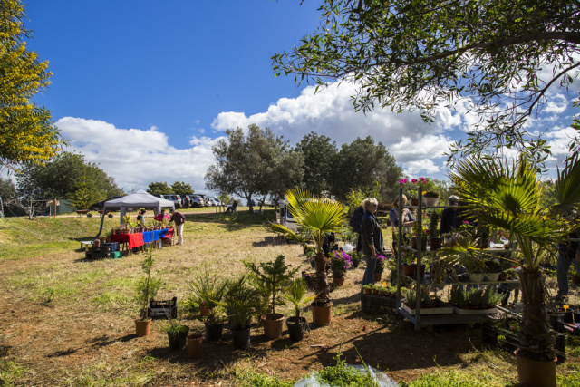 Silves Garden Fair