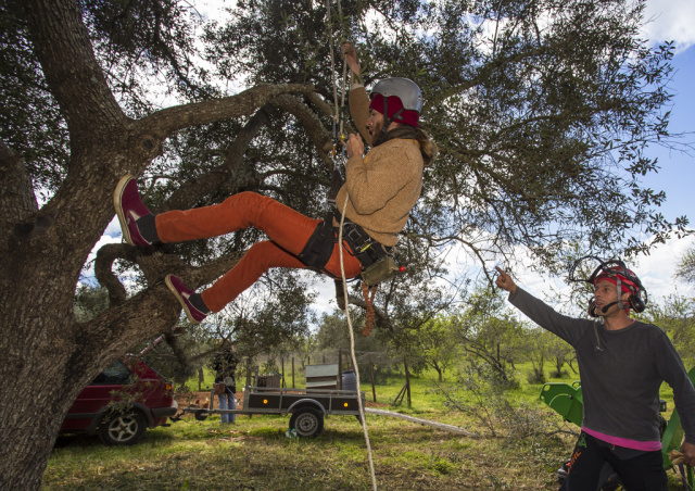 Silves Garden Fair