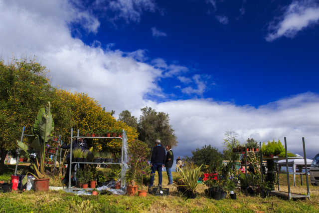 Silves Garden Fair