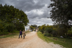 Silves Garden Fair