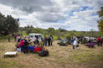 Silves Garden Fair