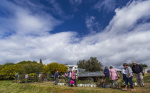 Silves Garden Fair